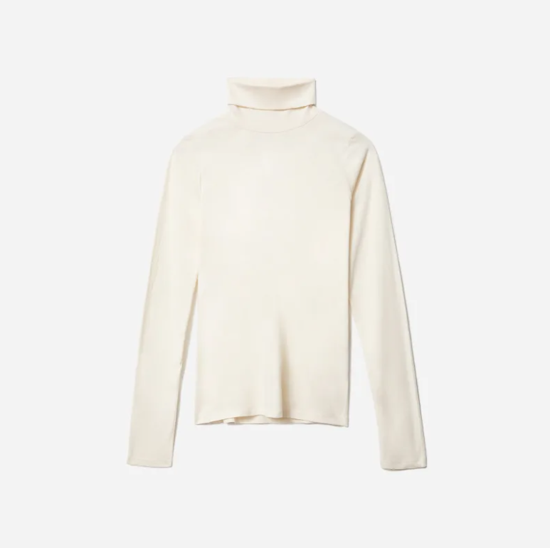 Everlane Turtleneck